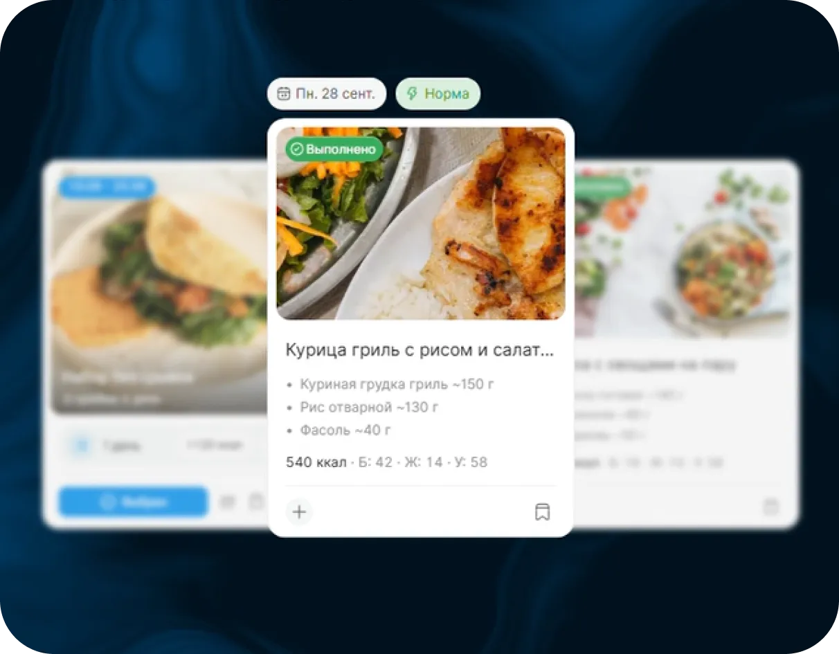 Интерфейс приложения — планы и дневник